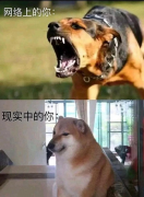 些图像是报酬生成的